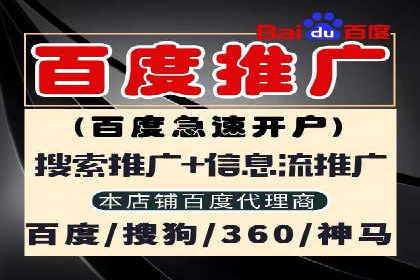 SEM推广竞价托管案例：提升品牌曝光度的秘诀